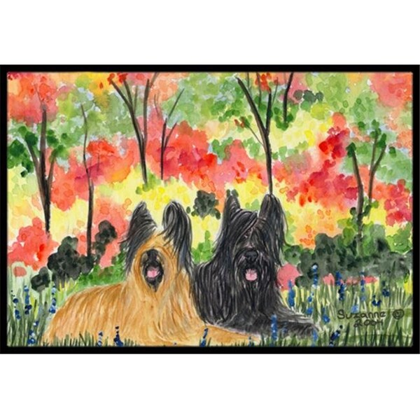 Carolines Treasures Carolines Treasures SS8045JMAT Briard Indoor Or Outdoor Doormat - 24 x 36 in. SS8045JMAT - main